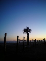 画像 012 画像 012