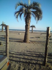 画像 015 画像 015