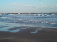 画像 001 画像 001