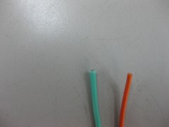IMG_6096 IMG_6096