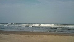 画像 011 画像 011